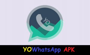 yowhatsapp-apk